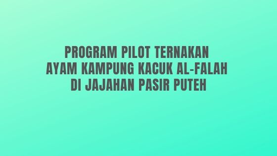 Program Pilot Ternakan Ayam Kampung Kacuk Al-Falah Di Jajahan Pasir Puteh